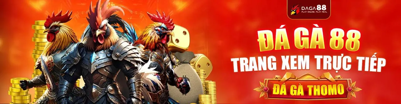 Đá Gà Trực Tuyến 33 King