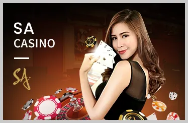 Cá cược bóng chuyền 33 king